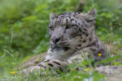 Wildpark Lüneburger Heide Juni 2016