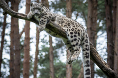 Wildpark Lüneburger Heide Juni 2016