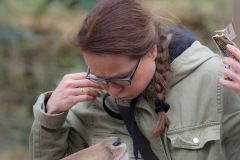 Wildpark Lüneburger Heide Juni 2016