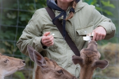Wildpark Lüneburger Heide Juni 2016