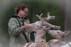 Wildpark Lüneburger Heide Juni 2016