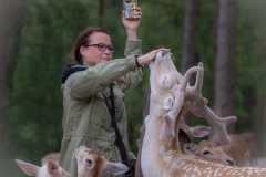 Wildpark Lüneburger Heide Juni 2016