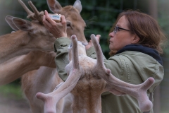 Wildpark Lüneburger Heide Juni 2016
