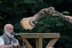 Wildpark Lüneburger Heide Juni 2016