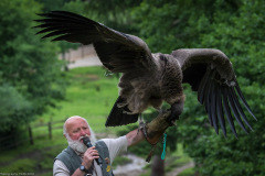 Wildpark Lüneburger Heide Juni 2016 Wildpark Lüneburger Heide Juni 2016