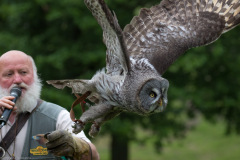 Wildpark Lüneburger Heide Juni 2016 Wildpark Lüneburger Heide Juni 2016